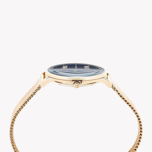 Pierre Cardin Women's Gold Watch, Black Dial | Pc902722f106