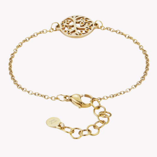 Zink Women's Gold Stainless Steel Bracelet | Zfbr010gs