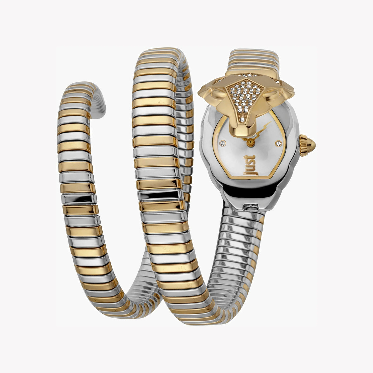 JUST CAVALLI Women's Watch with Silver Stainless Steel Case and Silver & Gold Stainless Steel Band