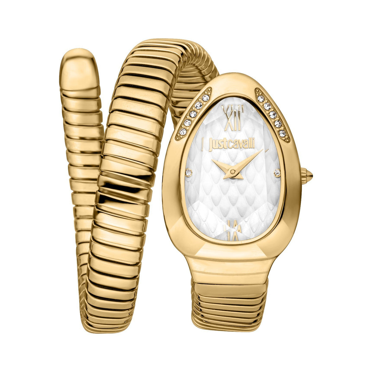 JUST CAVALLI Women's Watch with Gold Stainless Steel Case and Gold Stainless Steel Band