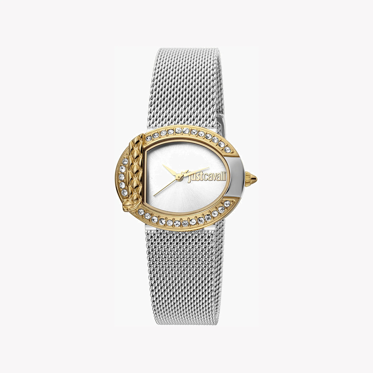 JUST CAVALLI Women's Watch with Silver Stainless Steel Case and Silver Stainless Steel Band