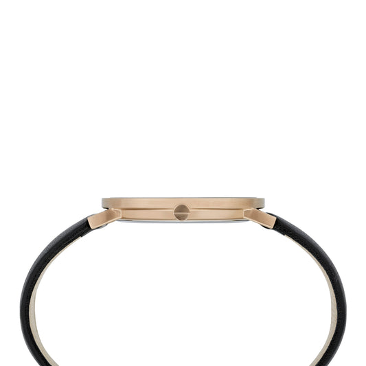 CBV.1017 PIERRE CARDIN Women's Watch