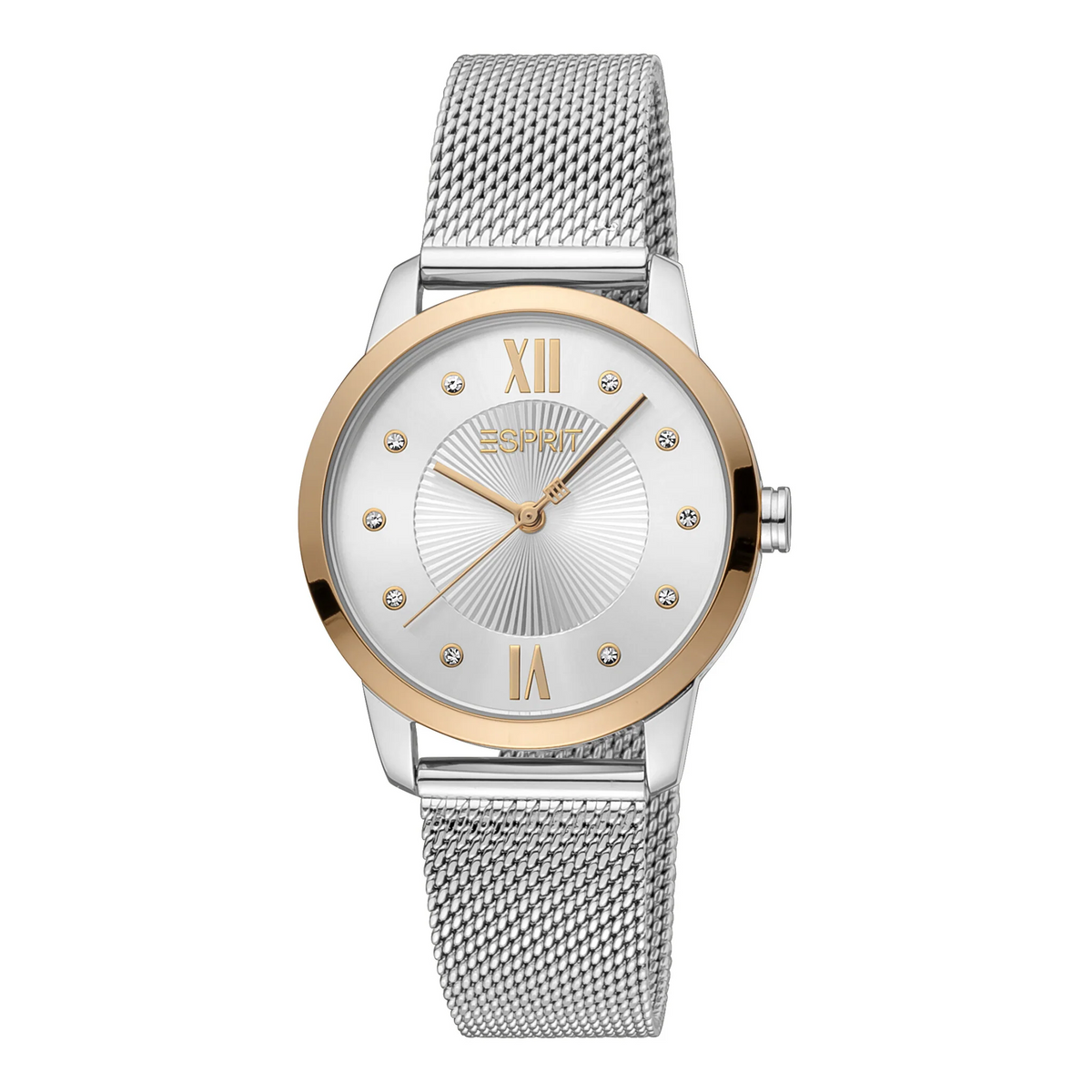 ESPRIT Women's Watch with Silver Stainless Steel Case and Silver Stainless Steel Band