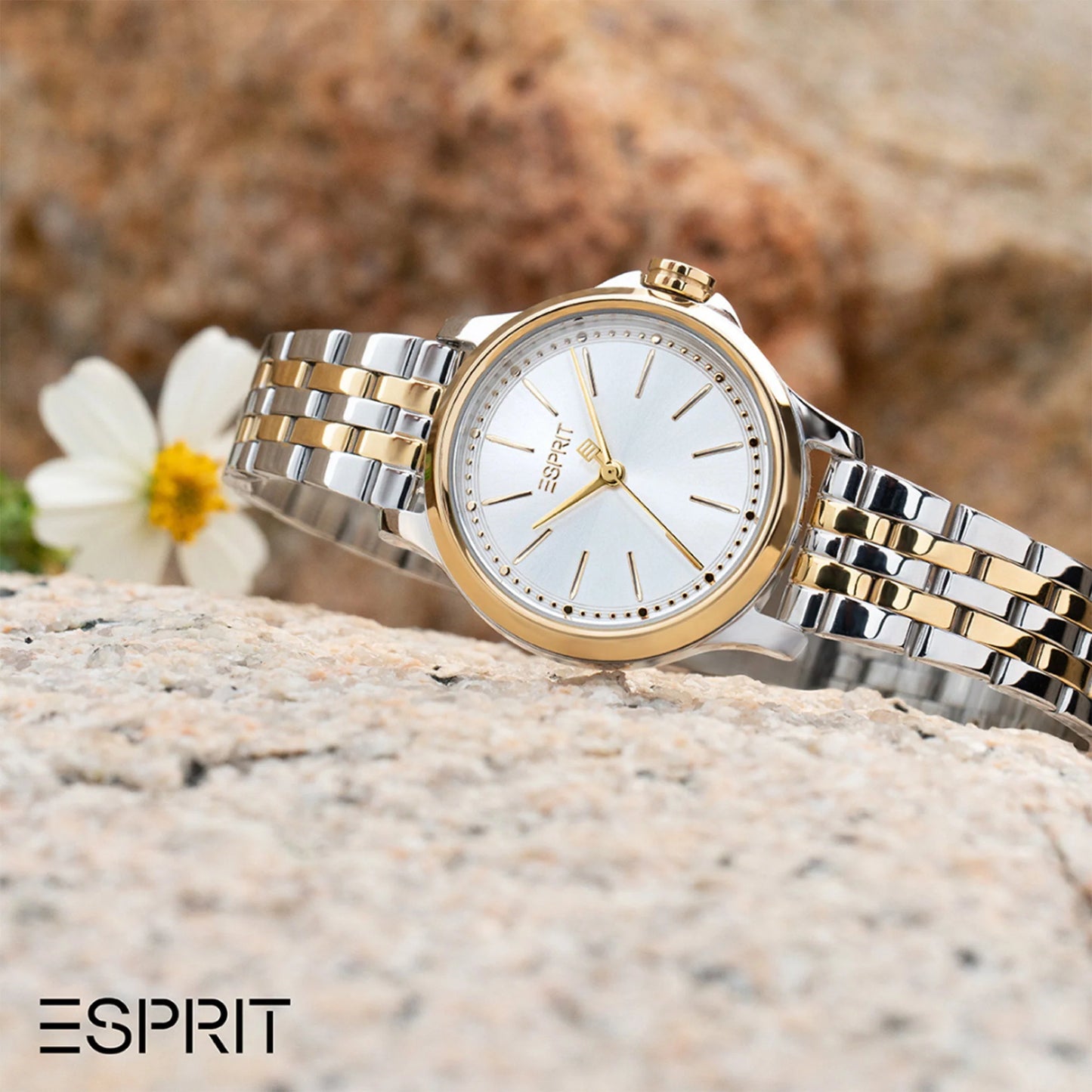 Montre pour femme ESPRIT ES1L144M2065