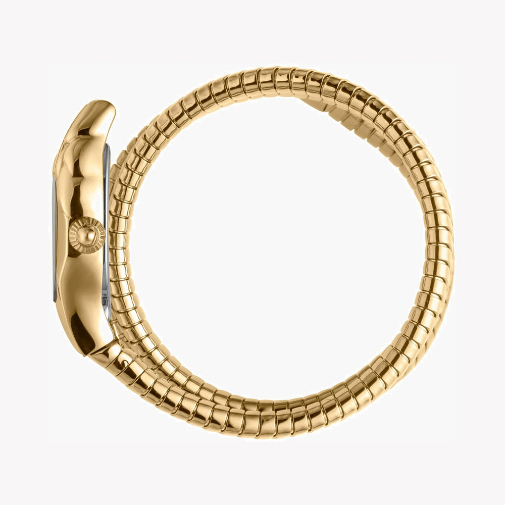 Just Cavalli Women's Gold Stainless Steel Watch, Champagne Dial | Jc1l022m0025 by i-watch