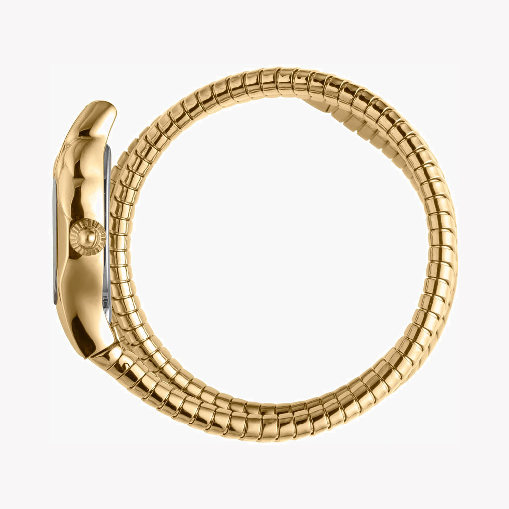 JUST CAVALLI Women's Watch with Gold Stainless Steel Case and Gold Stainless Steel Band-i-Watch-2