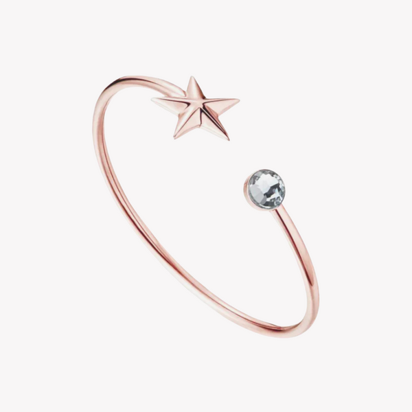 Zink Women's Rose Gold Stainless Steel Bracelet | Zfbg002rgc