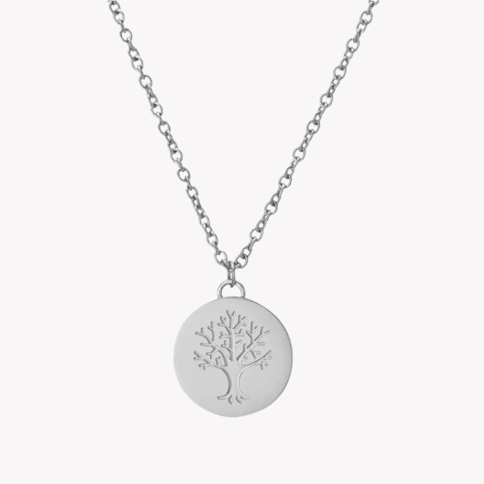 Zink Women's Silver Stainless Steel Necklace | Zfnl008s by i-watch