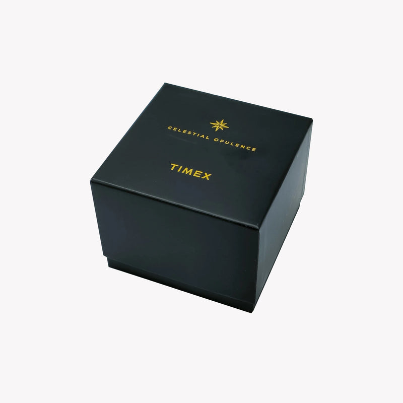 Timex Men's Black Leather Watch, Brass Case | Tw2r45800