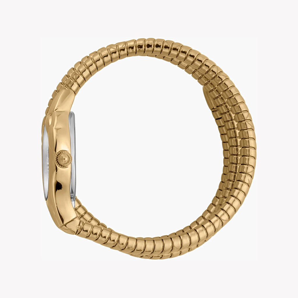 JUST CAVALLI Women's Watch with Gold Stainless Steel Case and Gold Stainless Steel Band-i-Watch-2
