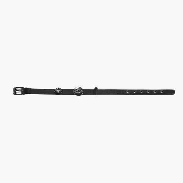 Zink Women's Black Stainless Steel Bracelet | Zfbr001b1