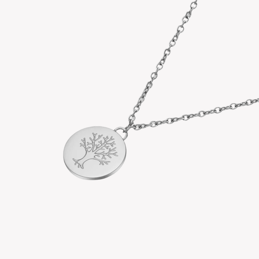 Zink Women's Silver Stainless Steel Necklace | Zfnl008s