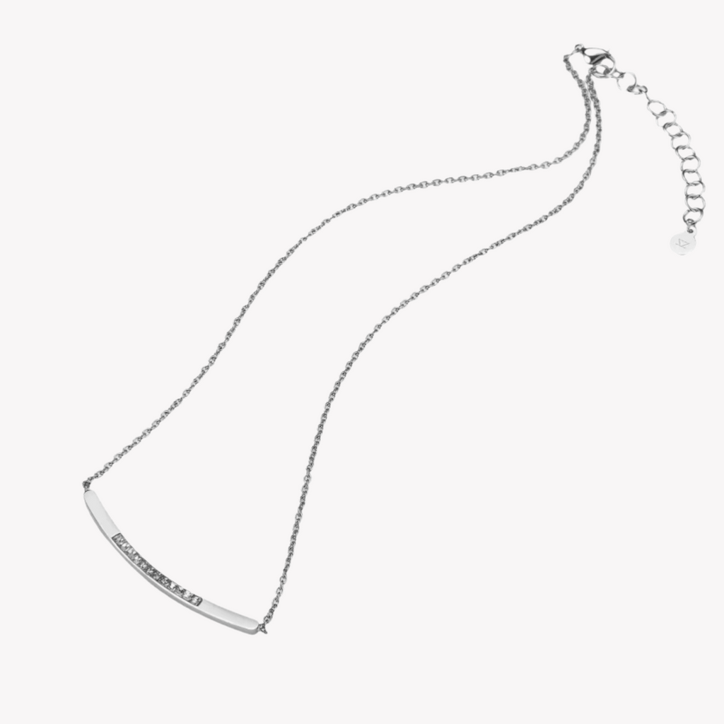Zink Women's Silver Stainless Steel Necklace | Zfnl001ss