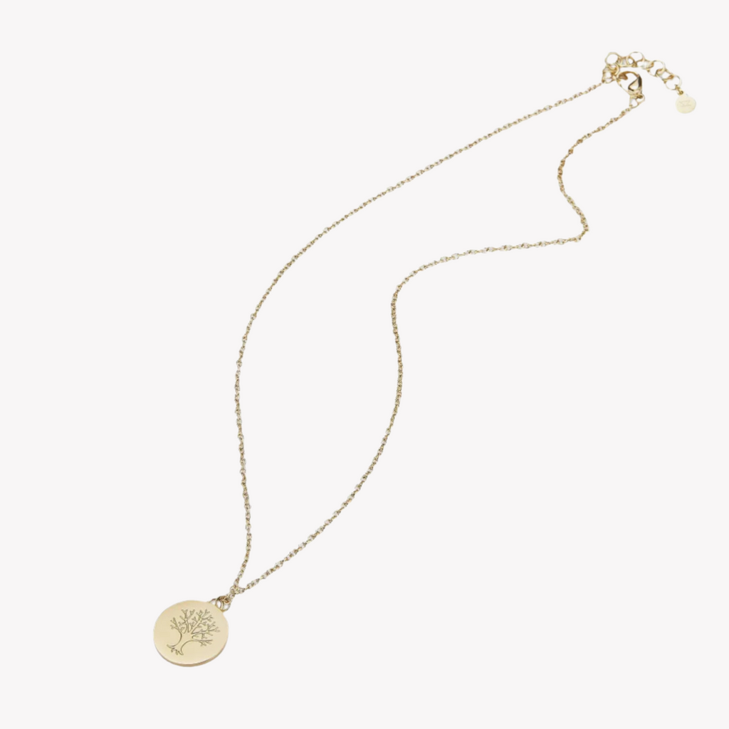 Zink Women's Gold Stainless Steel Necklace | Zfnl008g