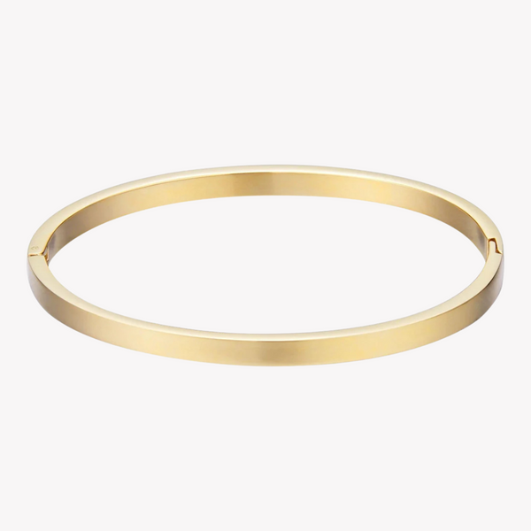 Zink Women's Gold Stainless Steel Bracelet | Zfbr002g