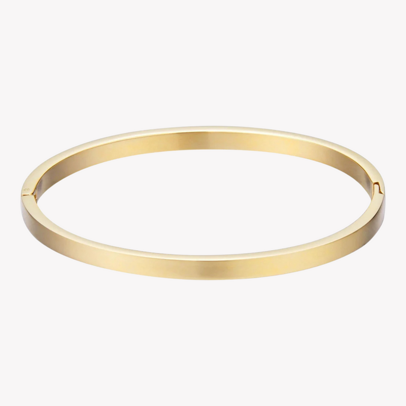 Zink Women's Gold Stainless Steel Bracelet | Zfbr002g by i-watch