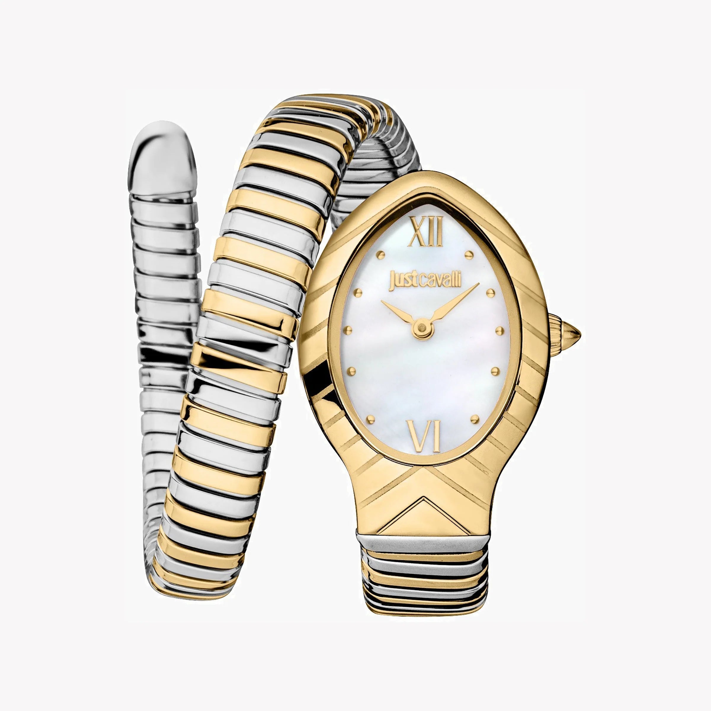 JUST CAVALLI Women's Watch with Gold Stainless Steel Case and Silver & Gold Stainless Steel Band