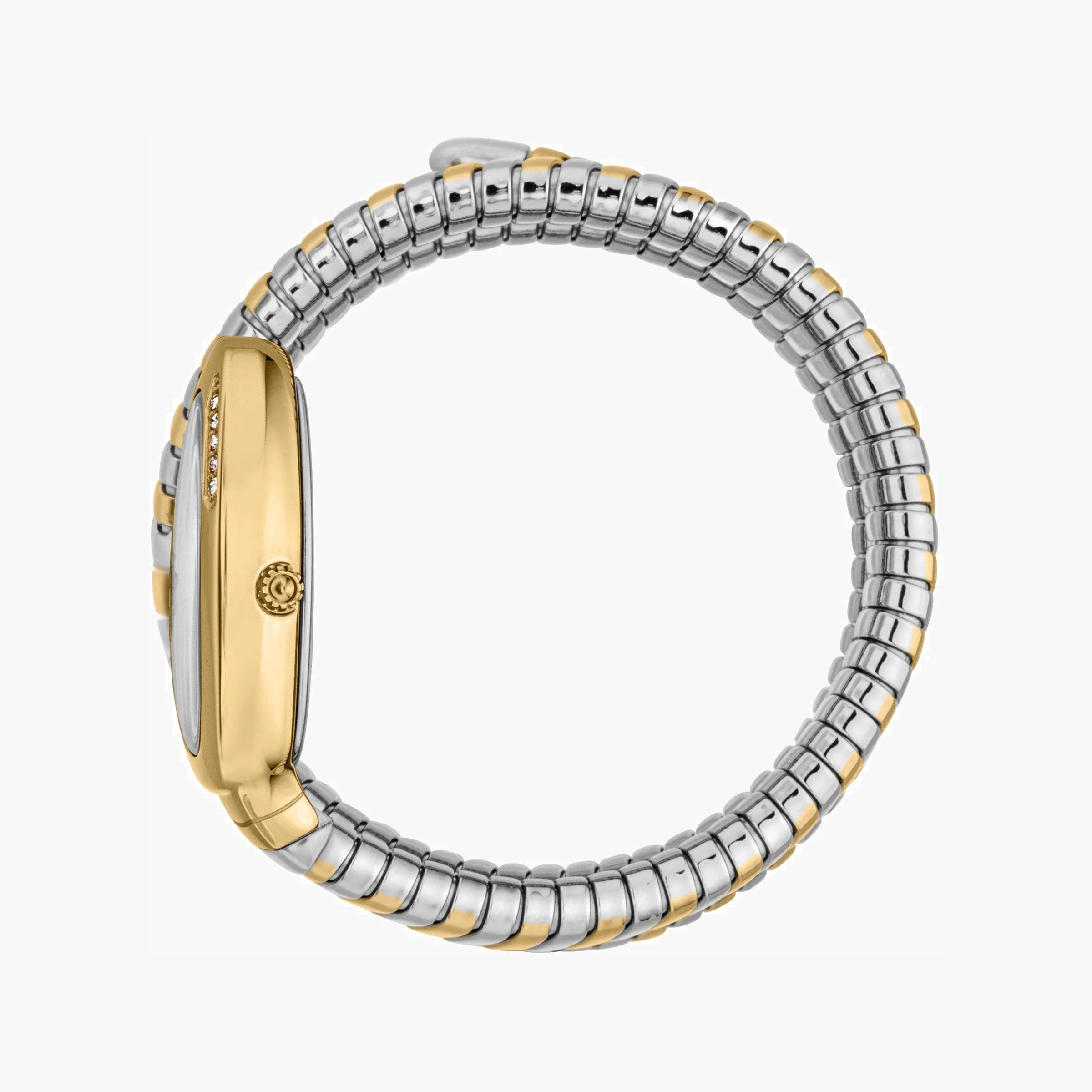 JUST CAVALLI Women's Watch with Gold Stainless Steel Case and Silver & Gold Stainless Steel Band-i-Watch-2
