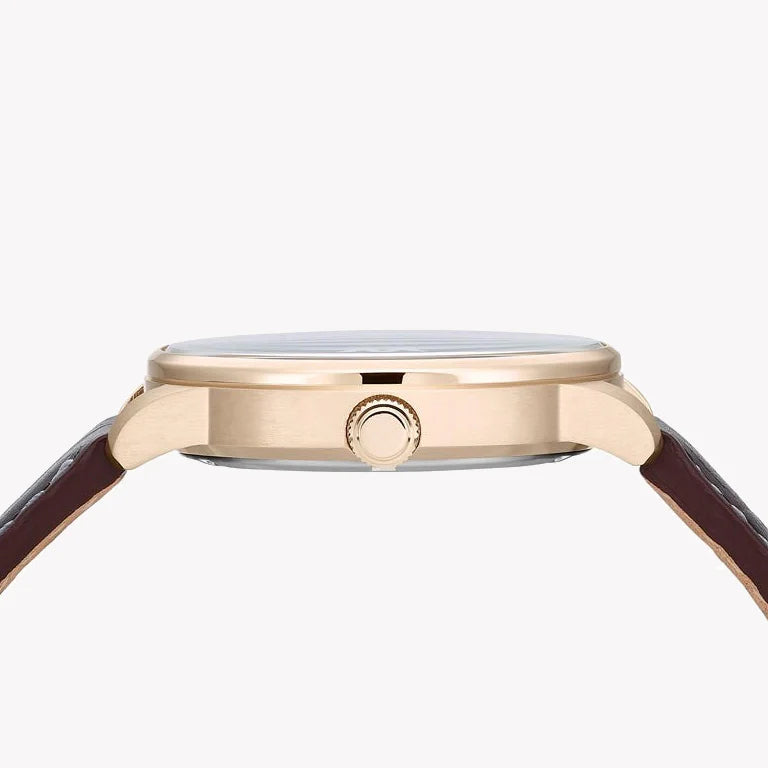 Citizen Eco-Drive Bm7393-16h - Rose Gold Powerhouse Men's Watch With Brown Leather Band by i-watch
