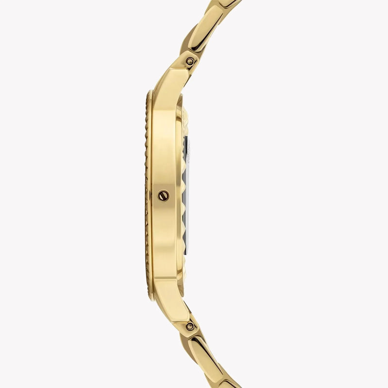 Police Women's Gold Stainless Steel Watch, Gold Dial | Pl-16037bsg_22m by i-watch