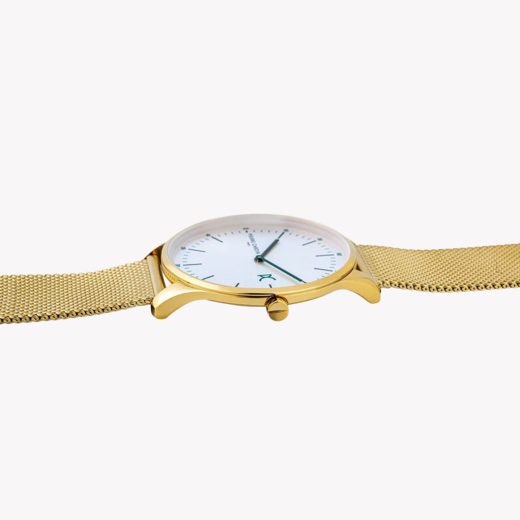 MONTRE POUR HOMMES DE LUXE PIERRE CARDIN CBA.4012 - DESIGN ÉLÉGANT OR ET ARGENT