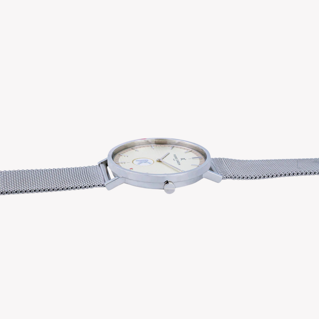 PIERRE CARDIN CBV.1053 ÉLÉGANTE MONTRE EN ARGENT - MONTRE POUR HOMMES DE LUXE AVEC CADRAN GRIS