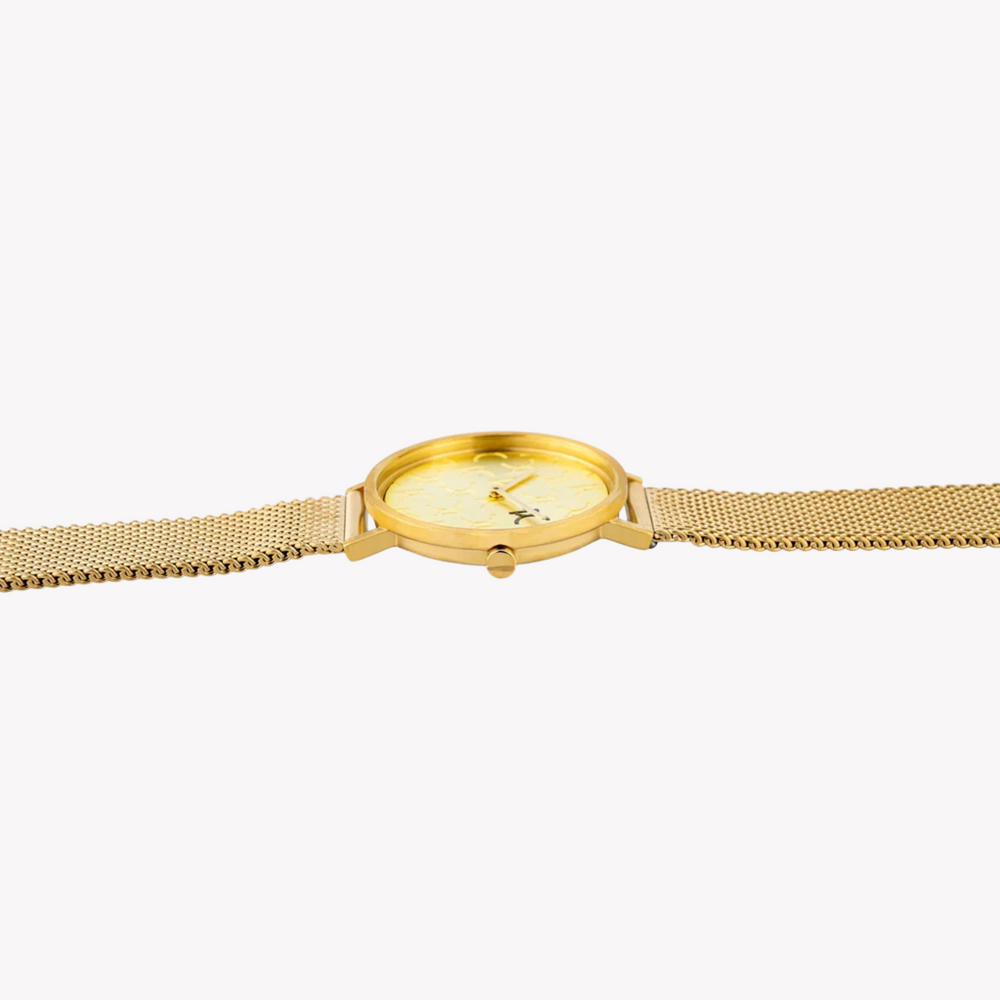 Pierre Cardin Women's Gold Stainless Steel Watch, Champagne Dial | Cbv.1518 by i-watch