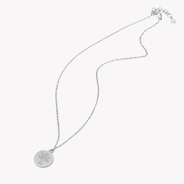 Zink Women's Silver Stainless Steel Necklace | Zfnl008s