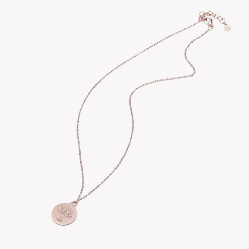 Zink Women's Rose Gold Stainless Steel Necklace | Zfnl008rg