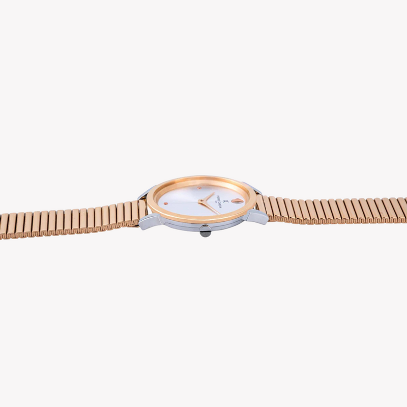 Pierre Cardin Women's Rose Gold & Silver Watch, Stainless Steel | Cpi.2531 by i-watch