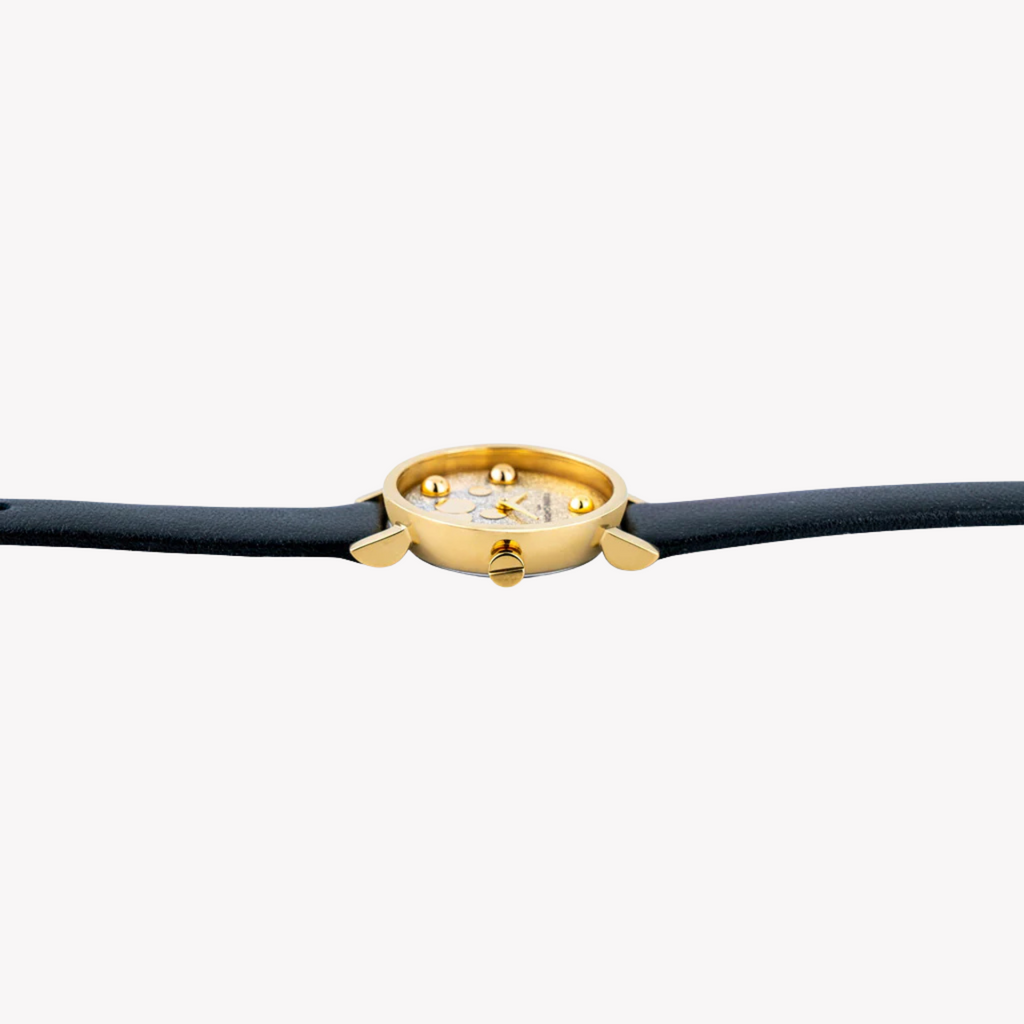 Pierre Cardin Women's Black Leather Watch, Silver & Gold | Ccm.0514