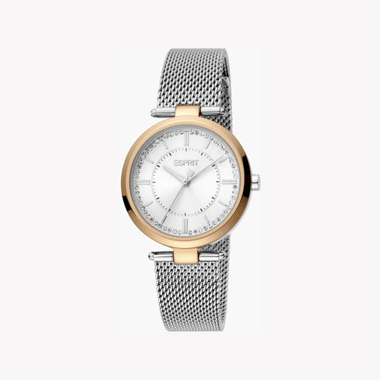 Esprit Stainless Steel Analog Women's Watch ES1L251M0085