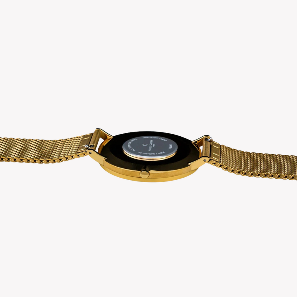 Pierre Cardin Men's Gold Stainless Steel Watch, Silver Dial | Cbn.3014 by i-watch