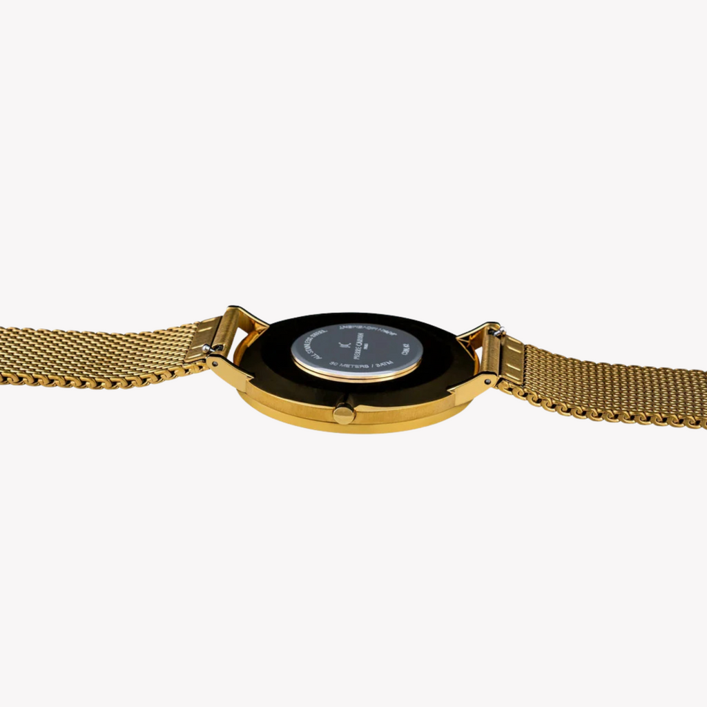 PIERRE CARDIN CBN.3014 LUXUS-HERRENUHR AUS GOLD – STILVOLLES EDELSTAHL-DESIGN