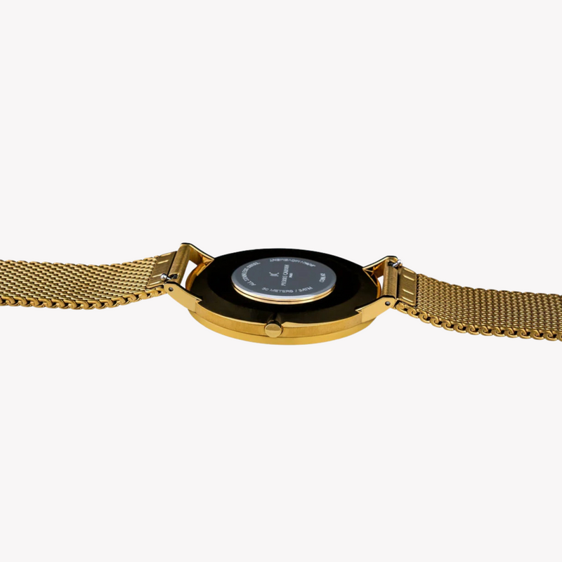 Pierre Cardin Men's Gold Stainless Steel Watch, Silver Dial | Cbn.3014 by i-watch