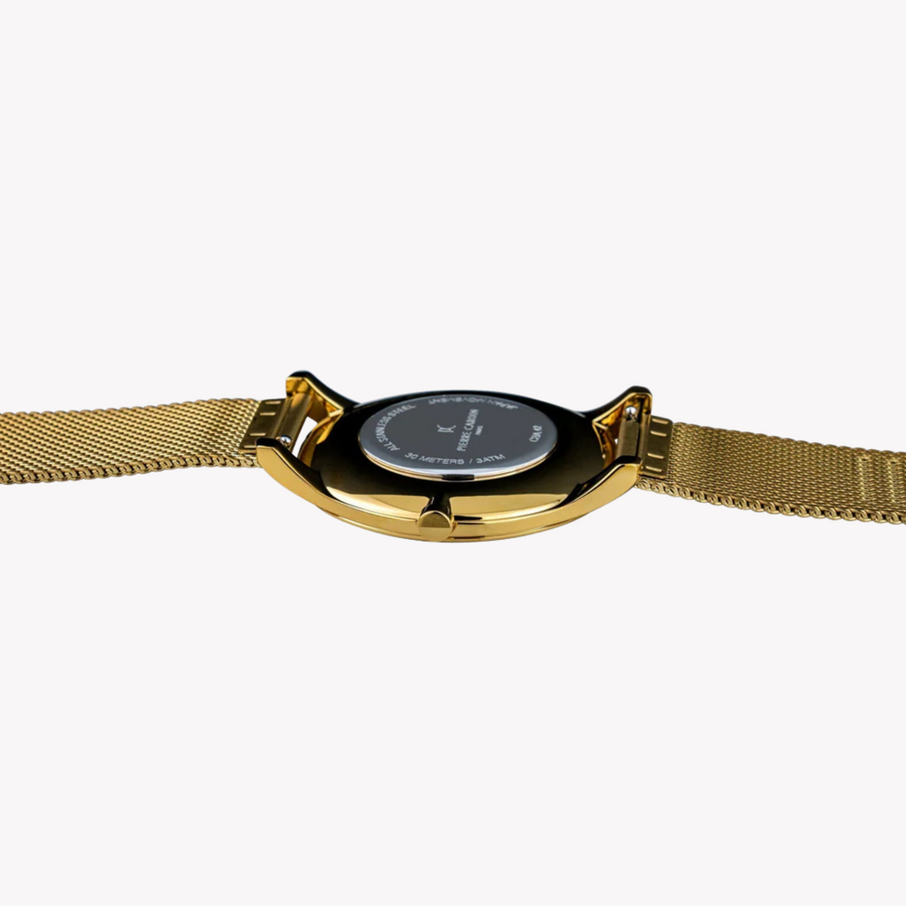 Pierre Cardin Men's Gold Stainless Steel Watch, Silver Dial | Cba.4012