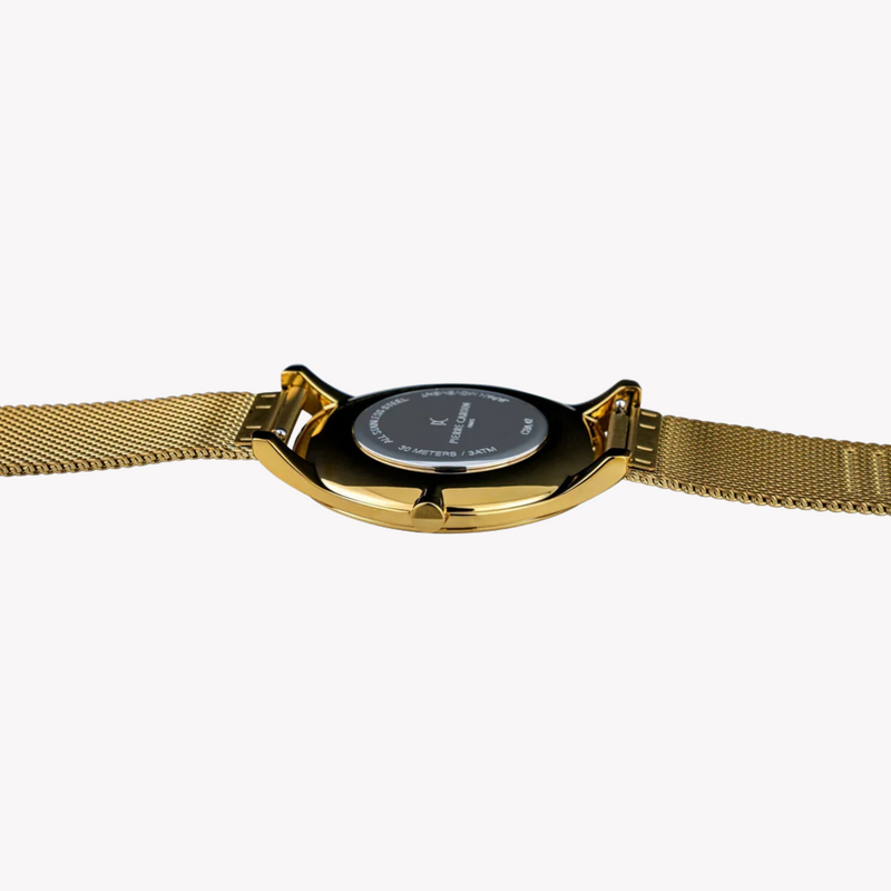 Pierre Cardin Men's Gold Stainless Steel Watch, Silver Dial | Cba.4012