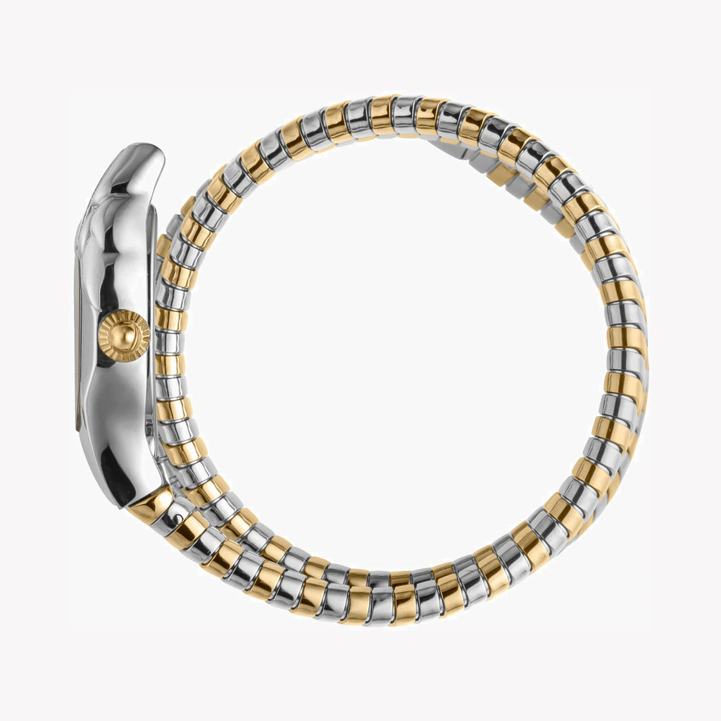 JUST CAVALLI Women's Watch with Silver Stainless Steel Case and Silver & Gold Stainless Steel Band-i-Watch-2