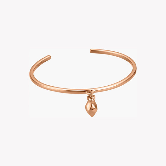 JCBA00440600 JUST CAVALLI Bracelets Femme