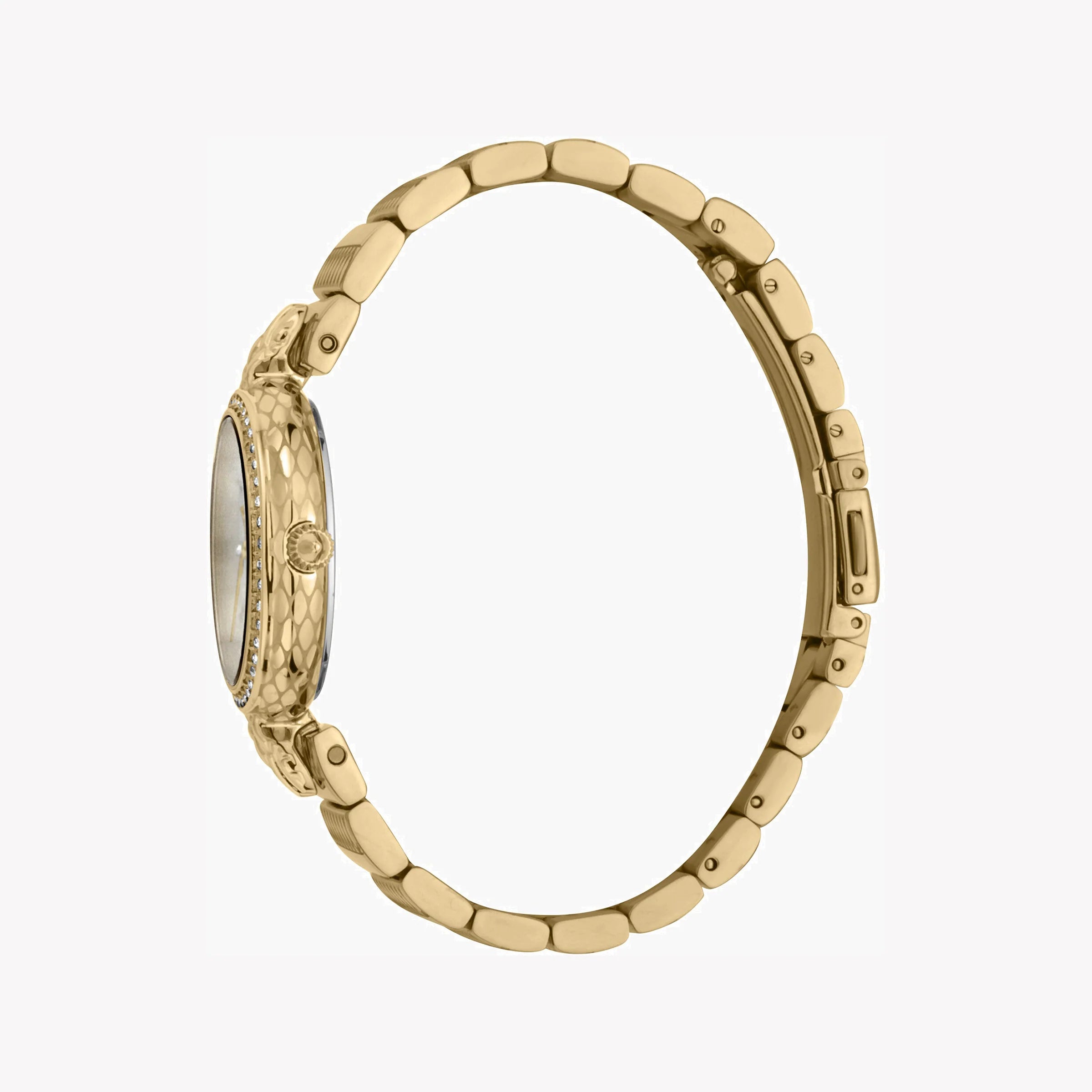 JUST CAVALLI Women's Watch with Gold Stainless Steel Case and Gold Stainless Steel Band