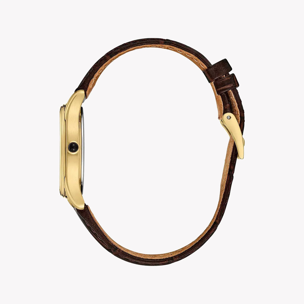 Radiant Charm Women's Gold Stainless Steel, Brown Leather | Swr072p1 by i-watch