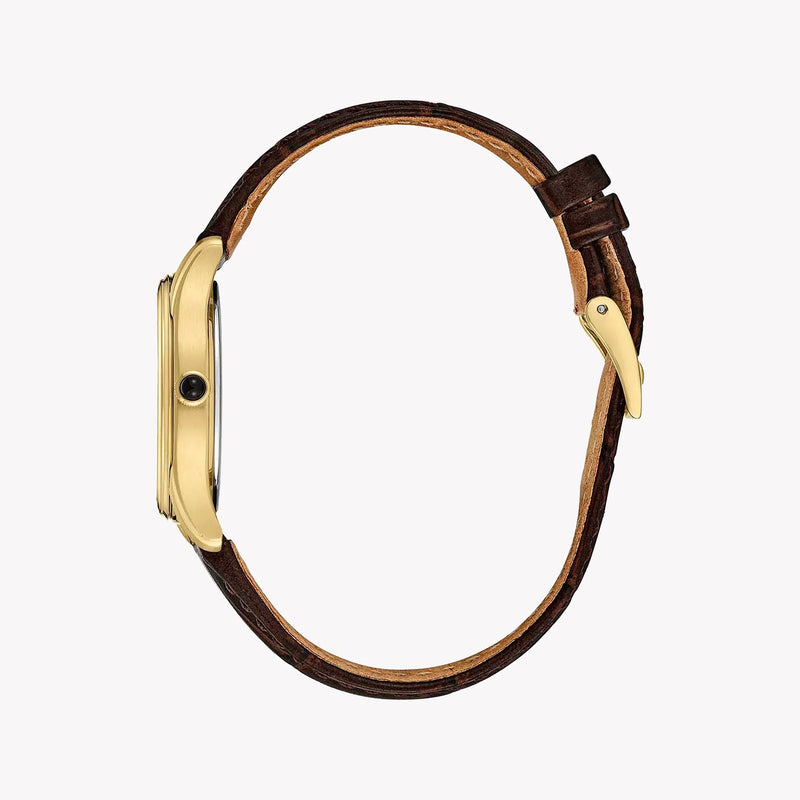 Radiant Charm Women's Gold Stainless Steel, Brown Leather | Swr072p1 by i-watch