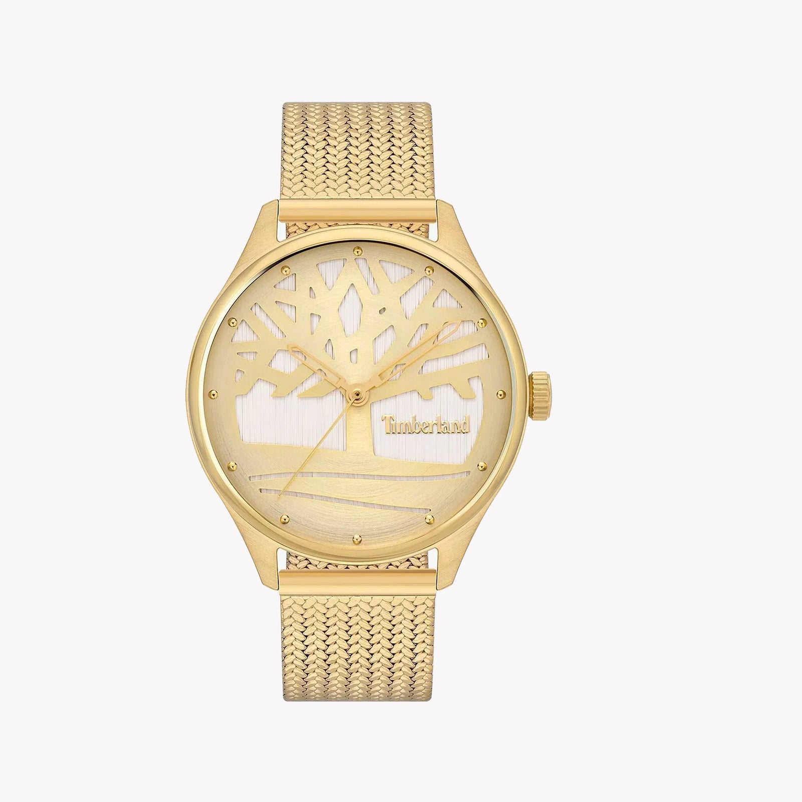 Timberland Men's Gold Stainless Steel Watch, Gold Dial | Tdwlg2200302 by i-watch