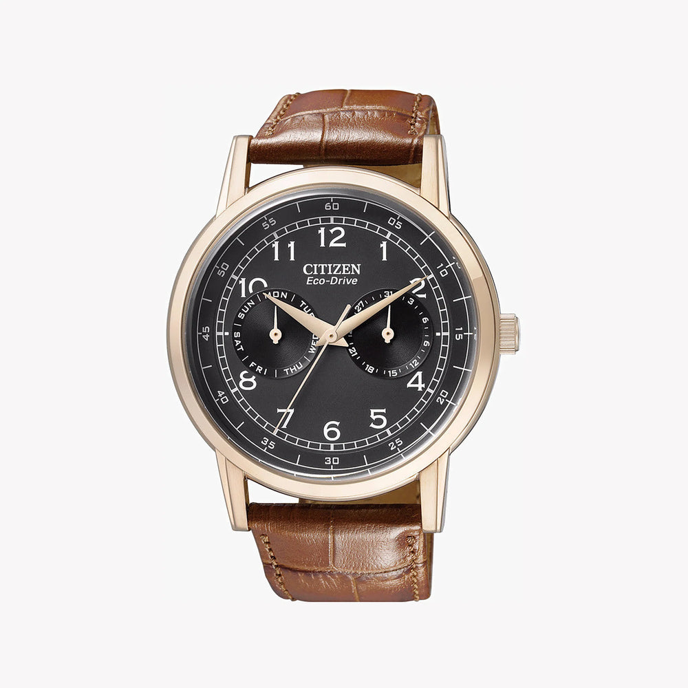 Citizen Eco-Drive Ao9003-08e - Versatile Men's Watch With Elegant Gold Tone & Leather Band by i-watch