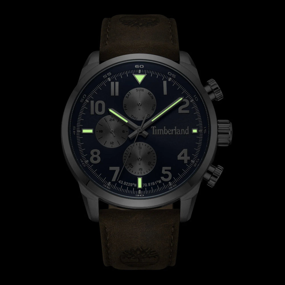 Timberland Men's Brown Leather Watch, Silver Case | Tdwgf0009501 by i-watch