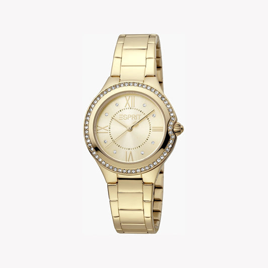 Esprit Stainless Steel Analog Women's Watch ES1L263M0065