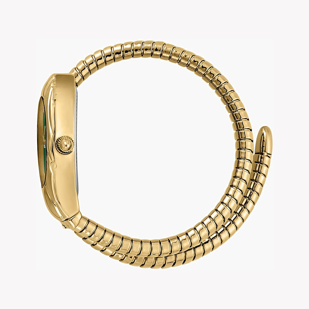 JUST CAVALLI Women's Watch with Gold Stainless Steel Case and Gold Stainless Steel Band-i-Watch-2