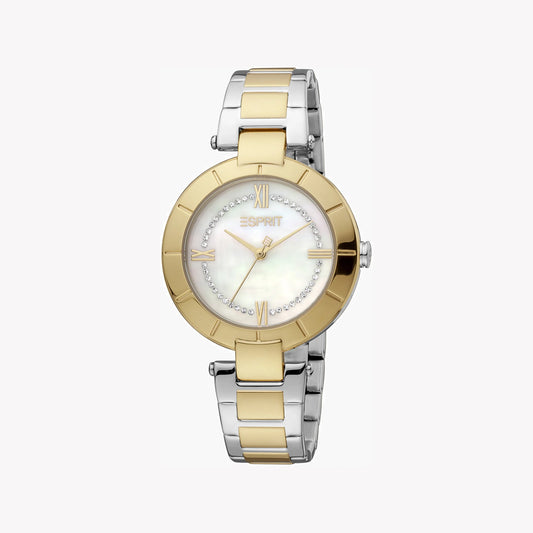 Esprit Stainless Steel Analog Women's Watch ES1L287M0105