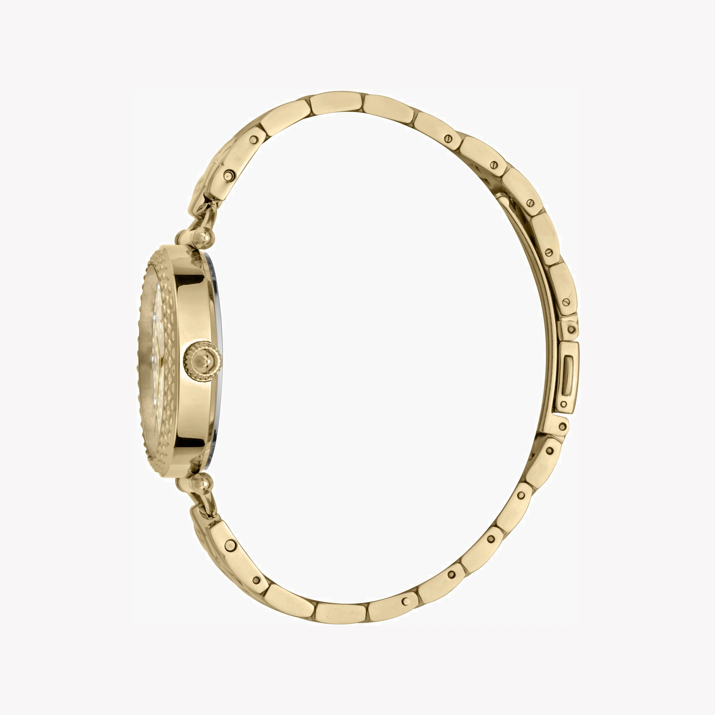 JUST CAVALLI Women's Watch with Gold Stainless Steel Case and Gold Stainless Steel Band