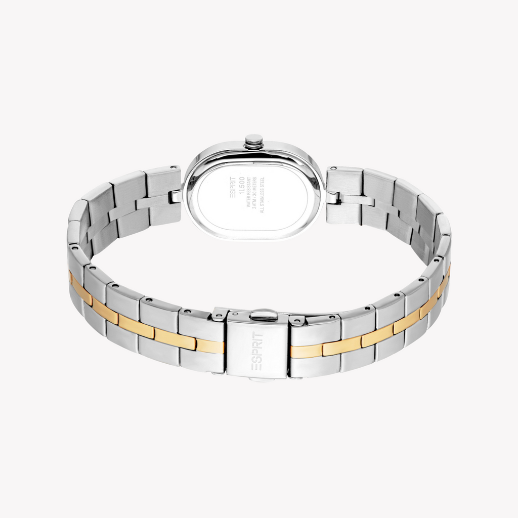 Esprit Women's Silver & Gold Quartz Watch | Es1l500m0045